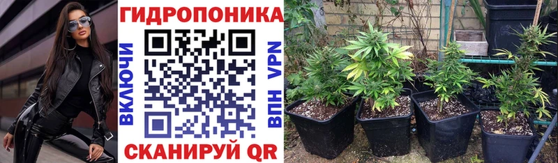 Марихуана гибрид  Санкт-Петербург 